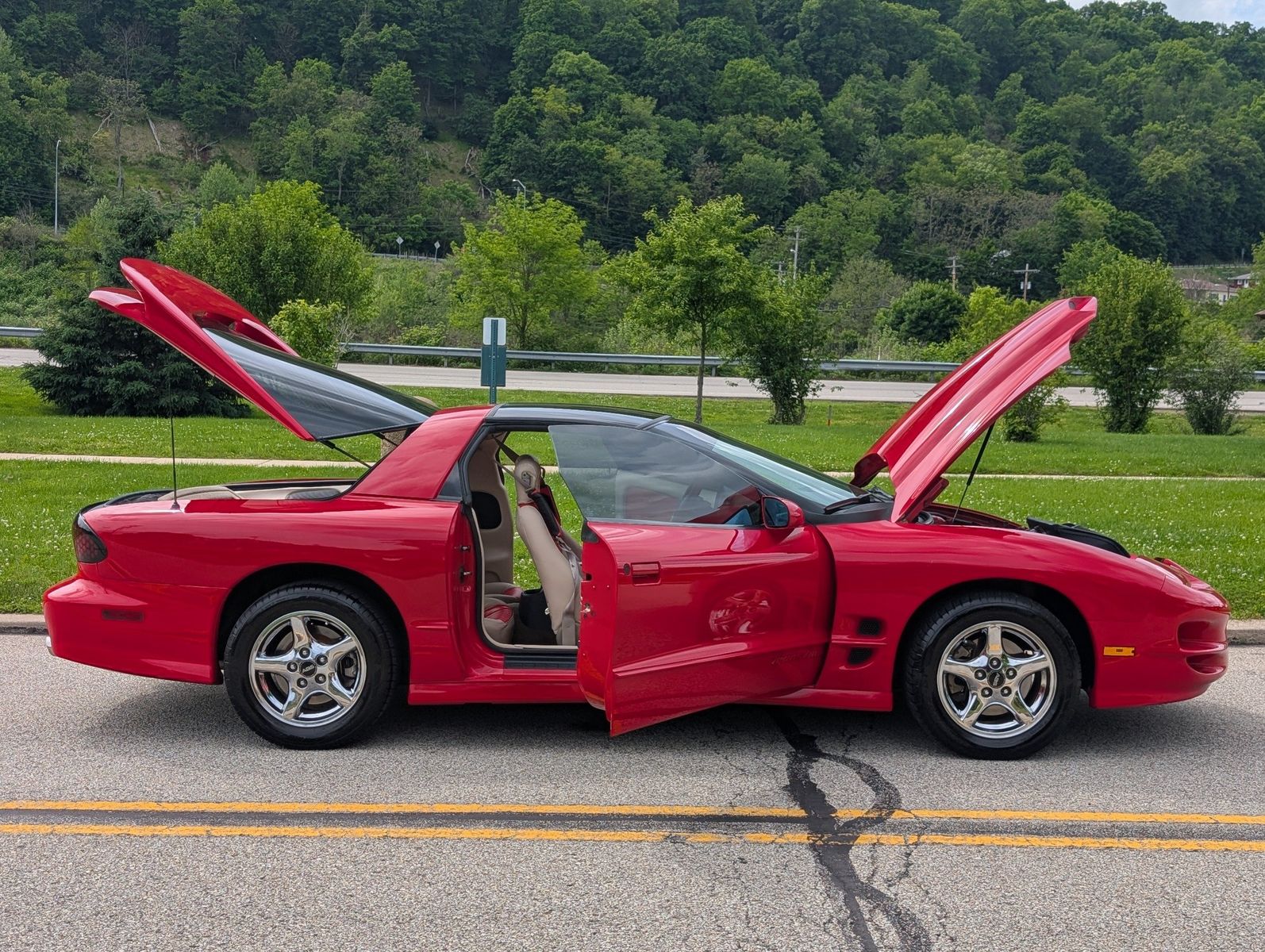 1999 Pontiac Firebird 66