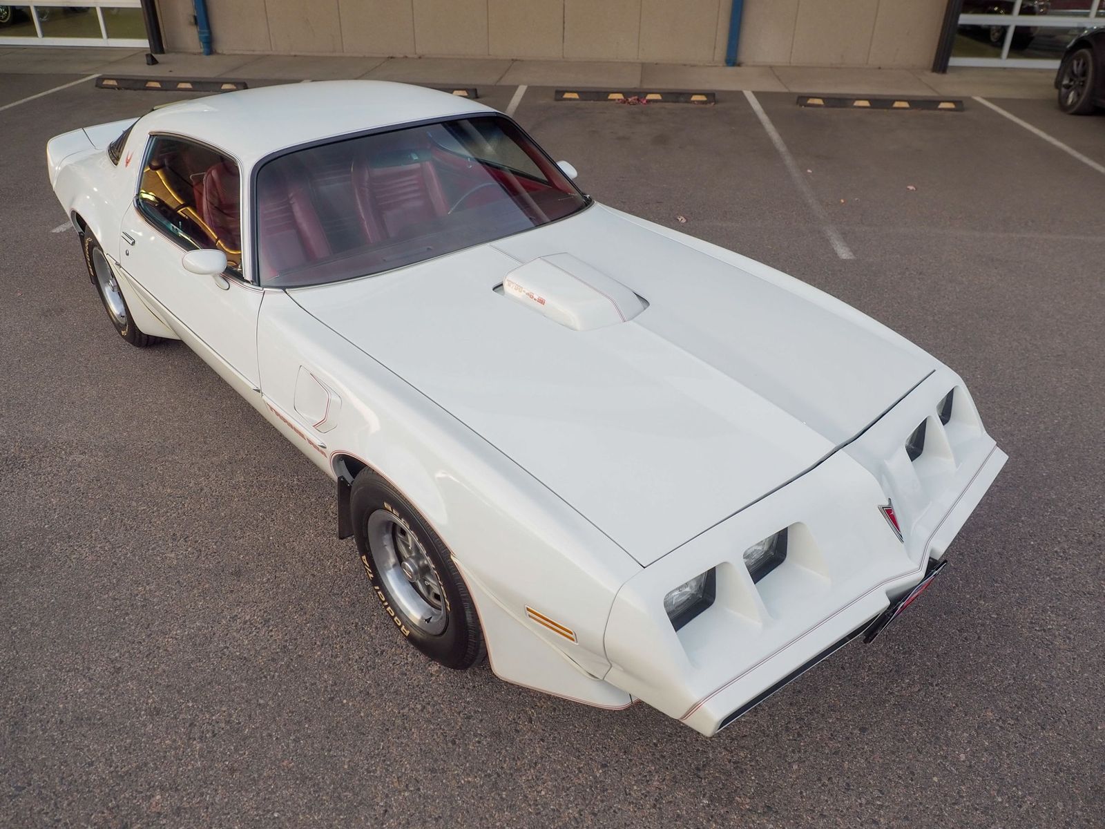 1981 Pontiac Firebird 9
