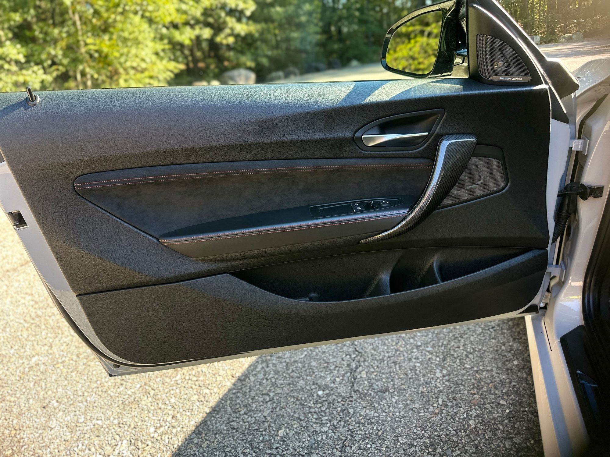 2020 Bmw M2 CS photo 17