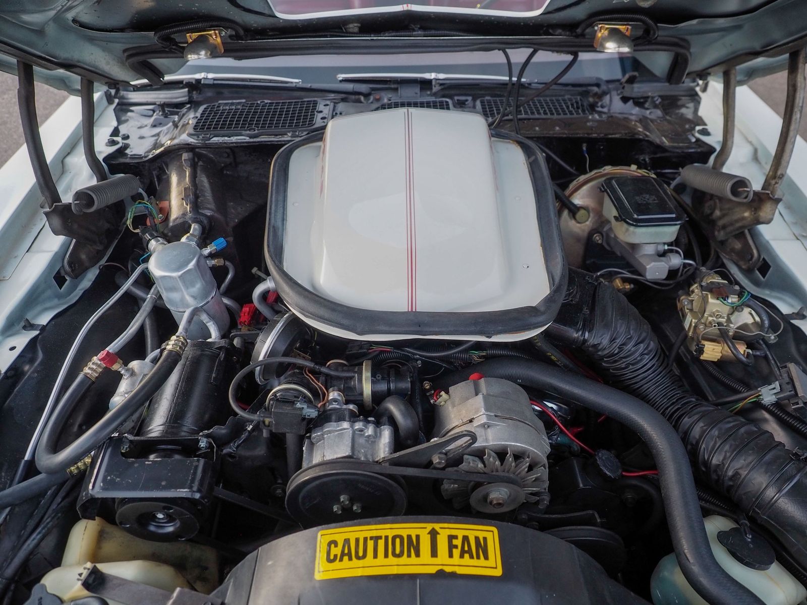 1981 Pontiac Firebird 42