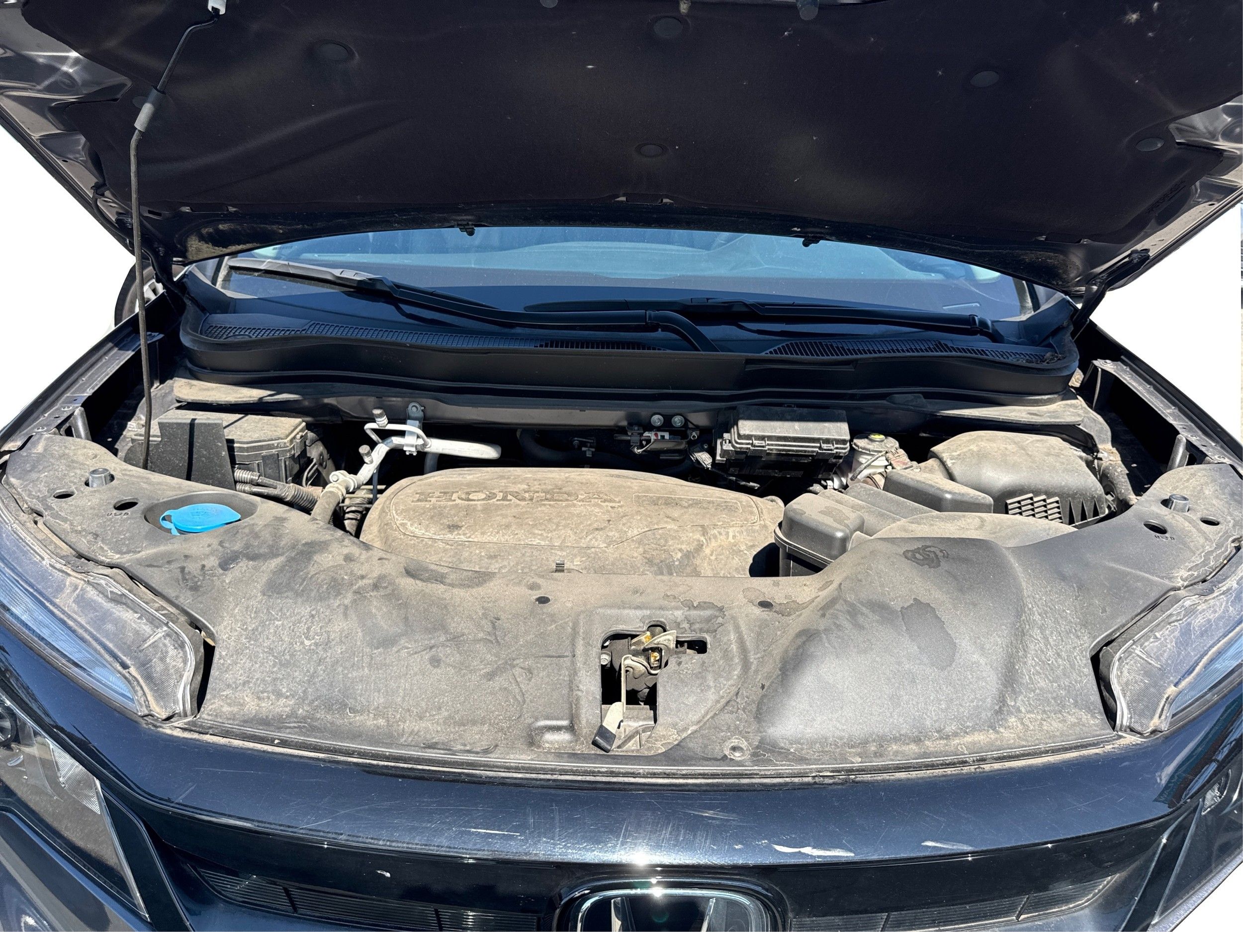 2022 Honda Pilot Special Edition photo 11