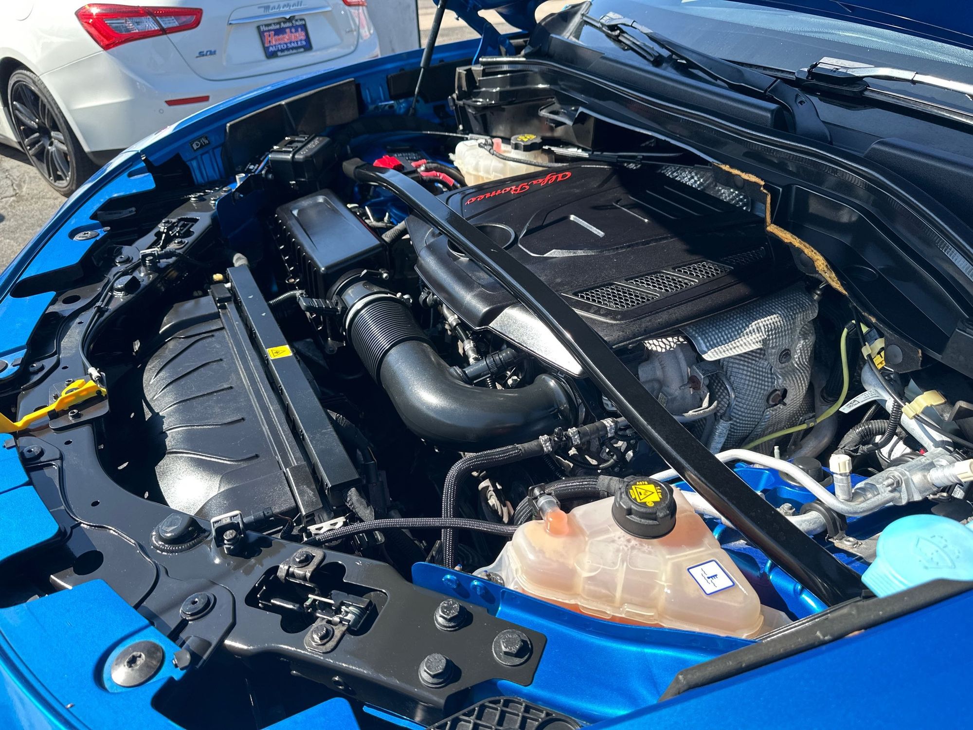 View 65
