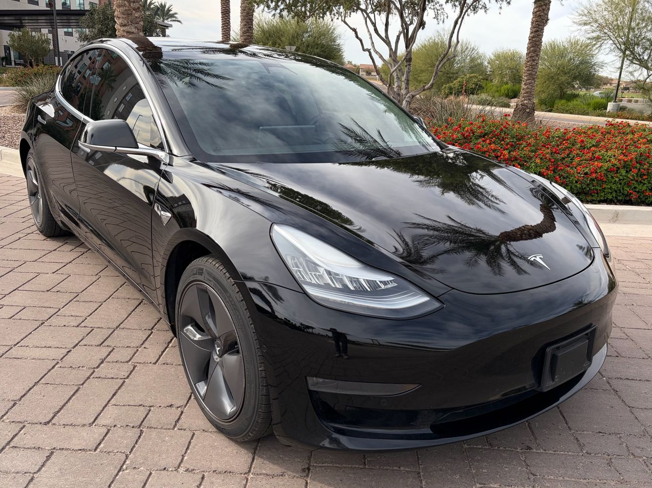 2020 Tesla Model 3 Base's photo