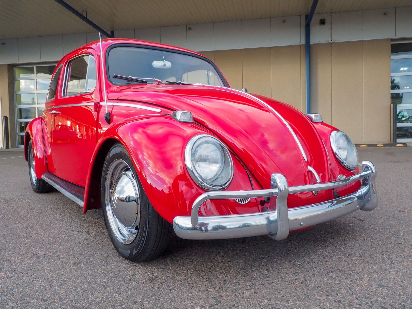 1964 Volkswagen Beetle 69