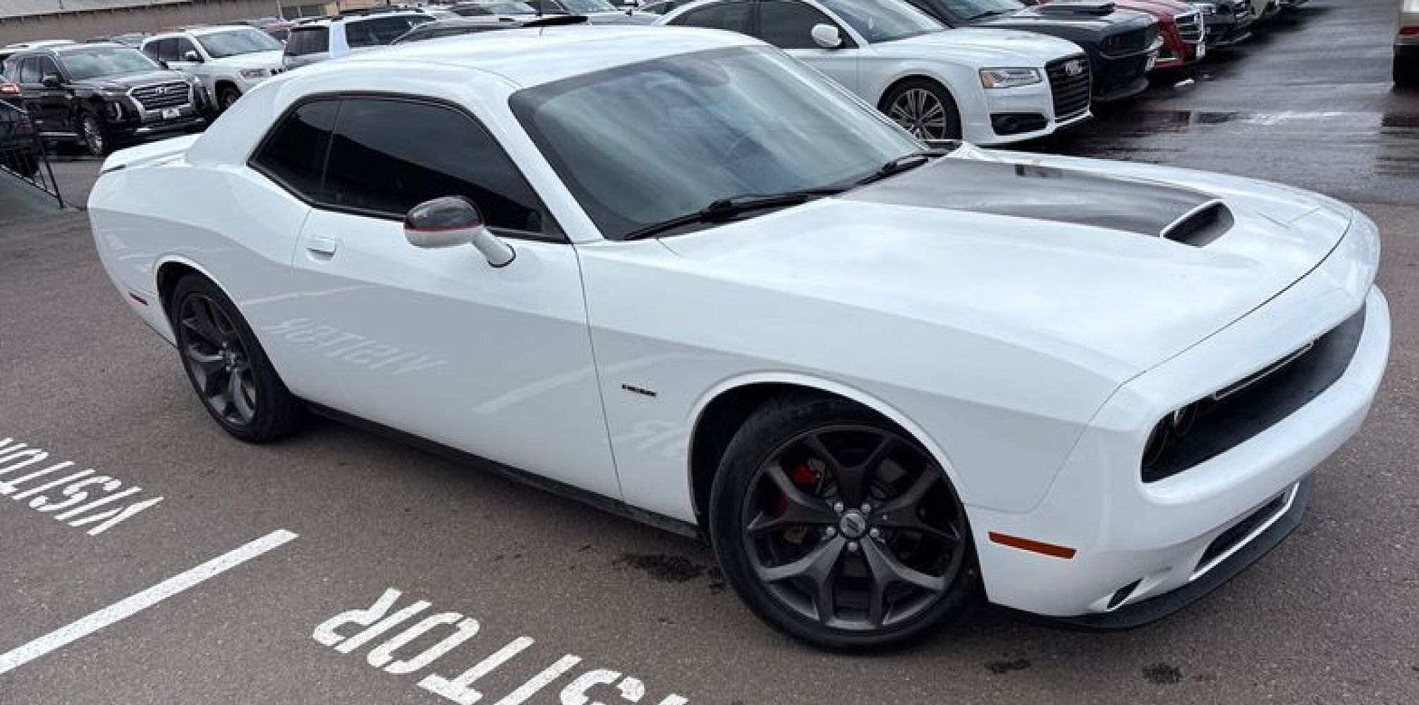 2019 Dodge Challenger R/T's photo