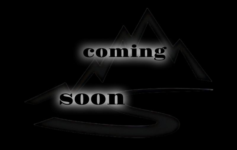 2021 Porsche Taycan Base's photo