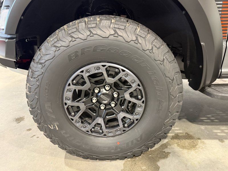 2025 Ford F-150 Raptor R, photo 26
