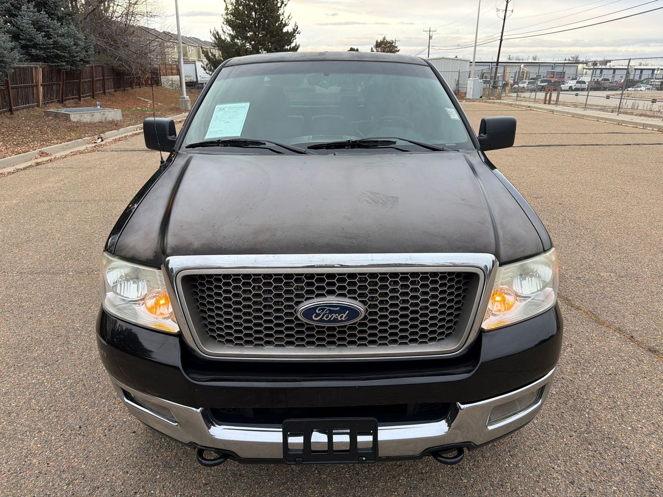 2005 Ford F-150 FX4 photo 3