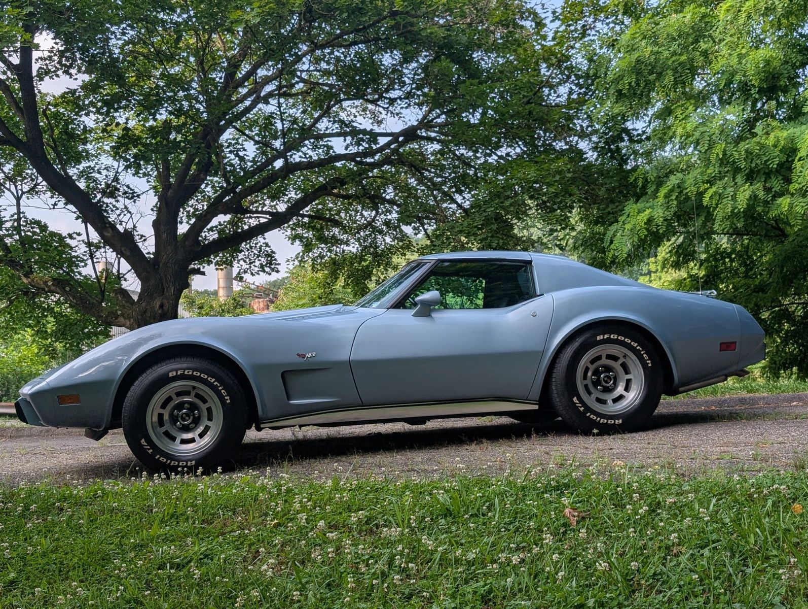 1977 Chevrolet Corvette 48