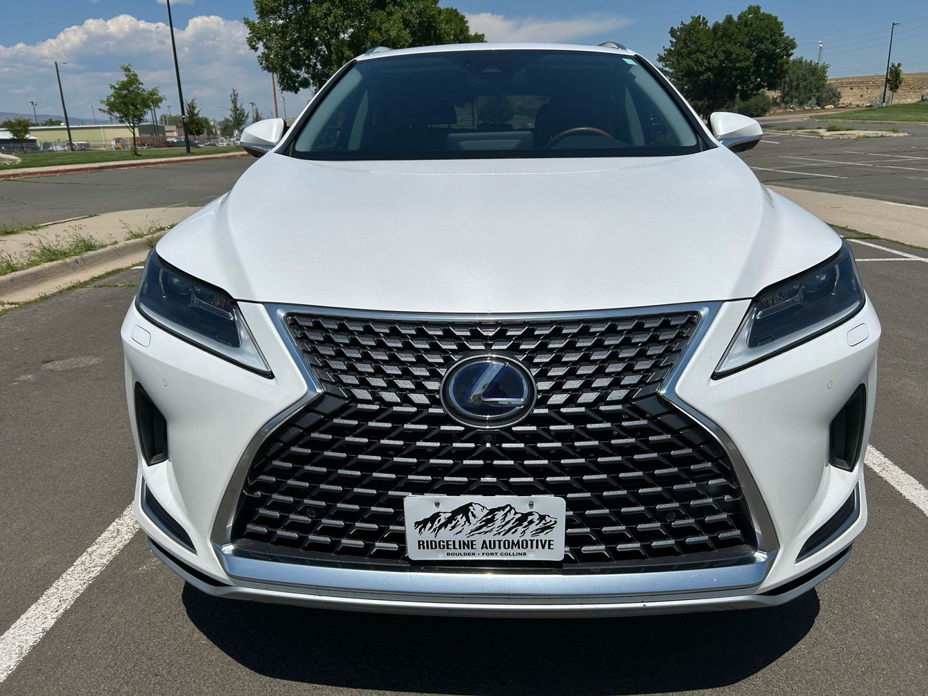 2021 Lexus RX 450h photo 2