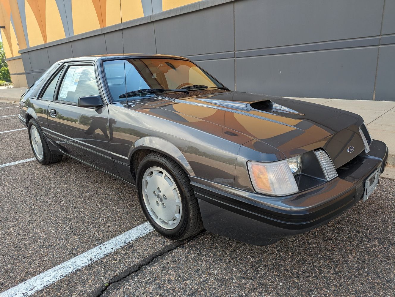 1984 Ford Mustang SVO Turbo | Colorado Motorcars