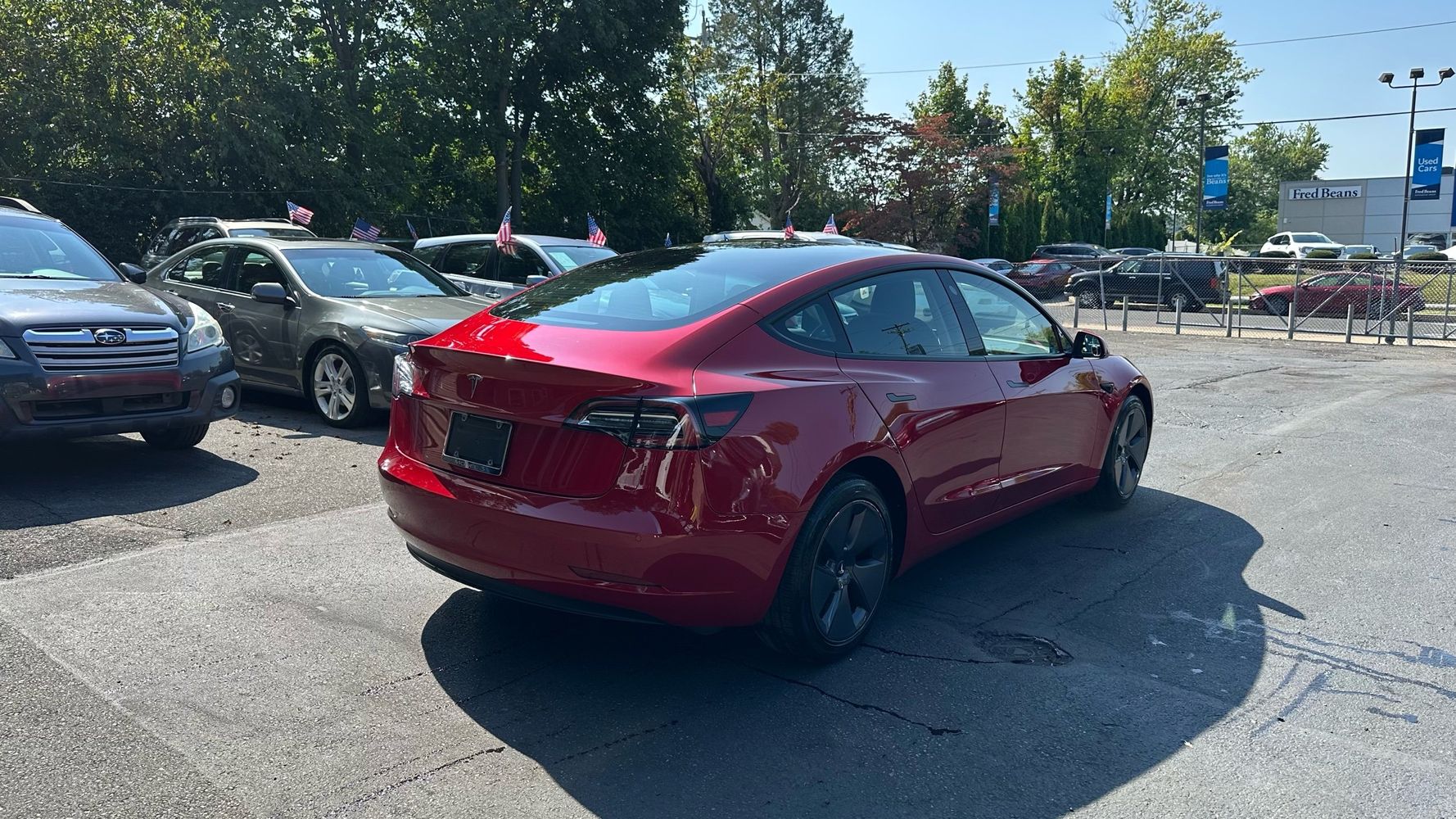 2022 Tesla Model 3 Rear-Wheel Drive photo 5