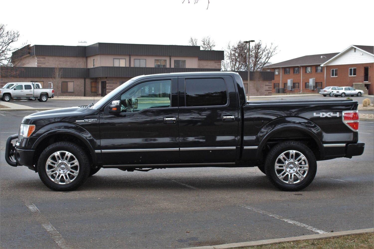 2010 Ford F-150 Platinum 