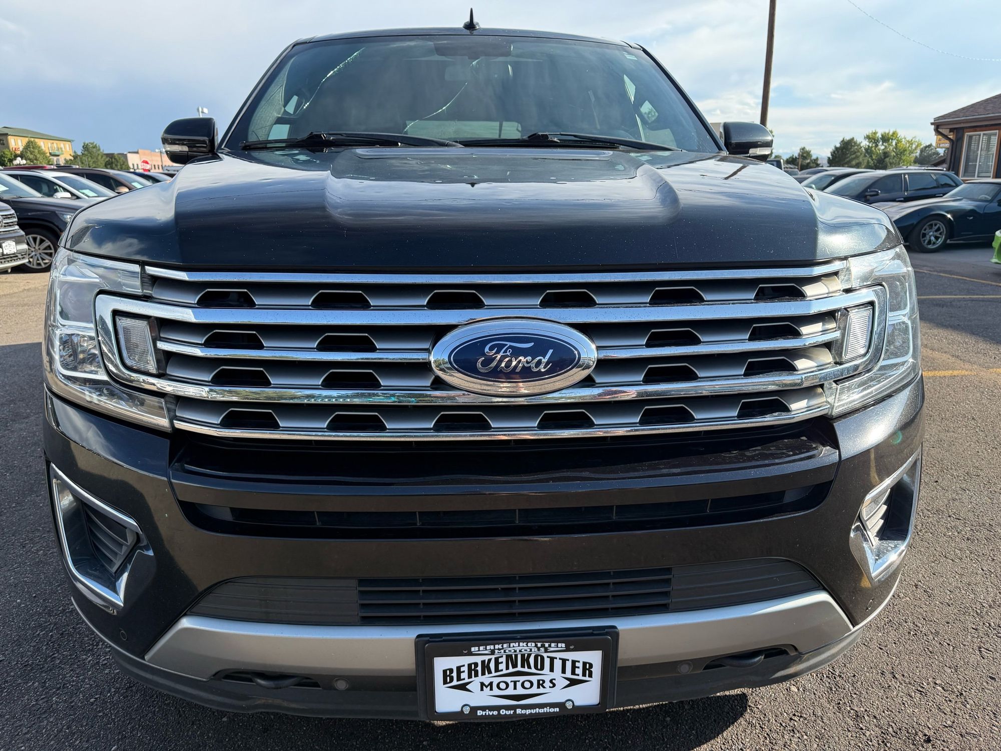 2019 Ford Expedition MAX Limited photo 8