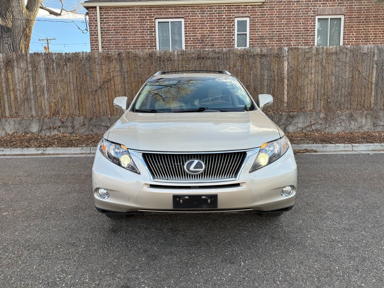 2012 Lexus RX 450h photo 3