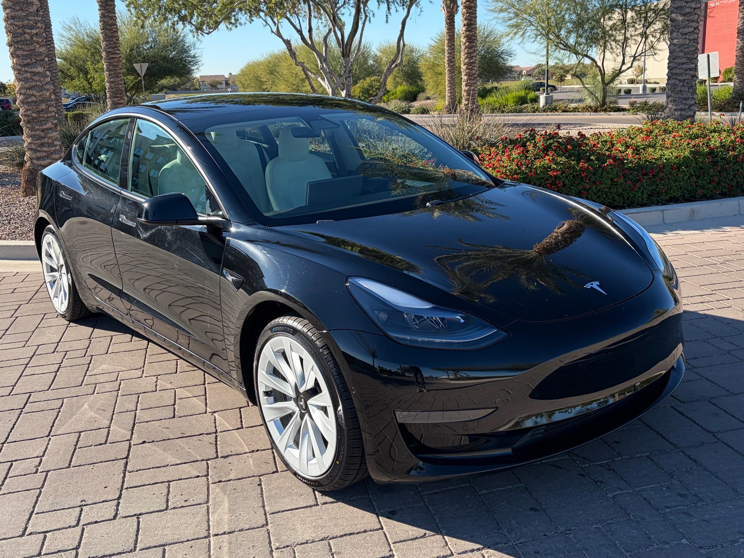 2021 Tesla Model 3 Rear-Wheel Drive's photo