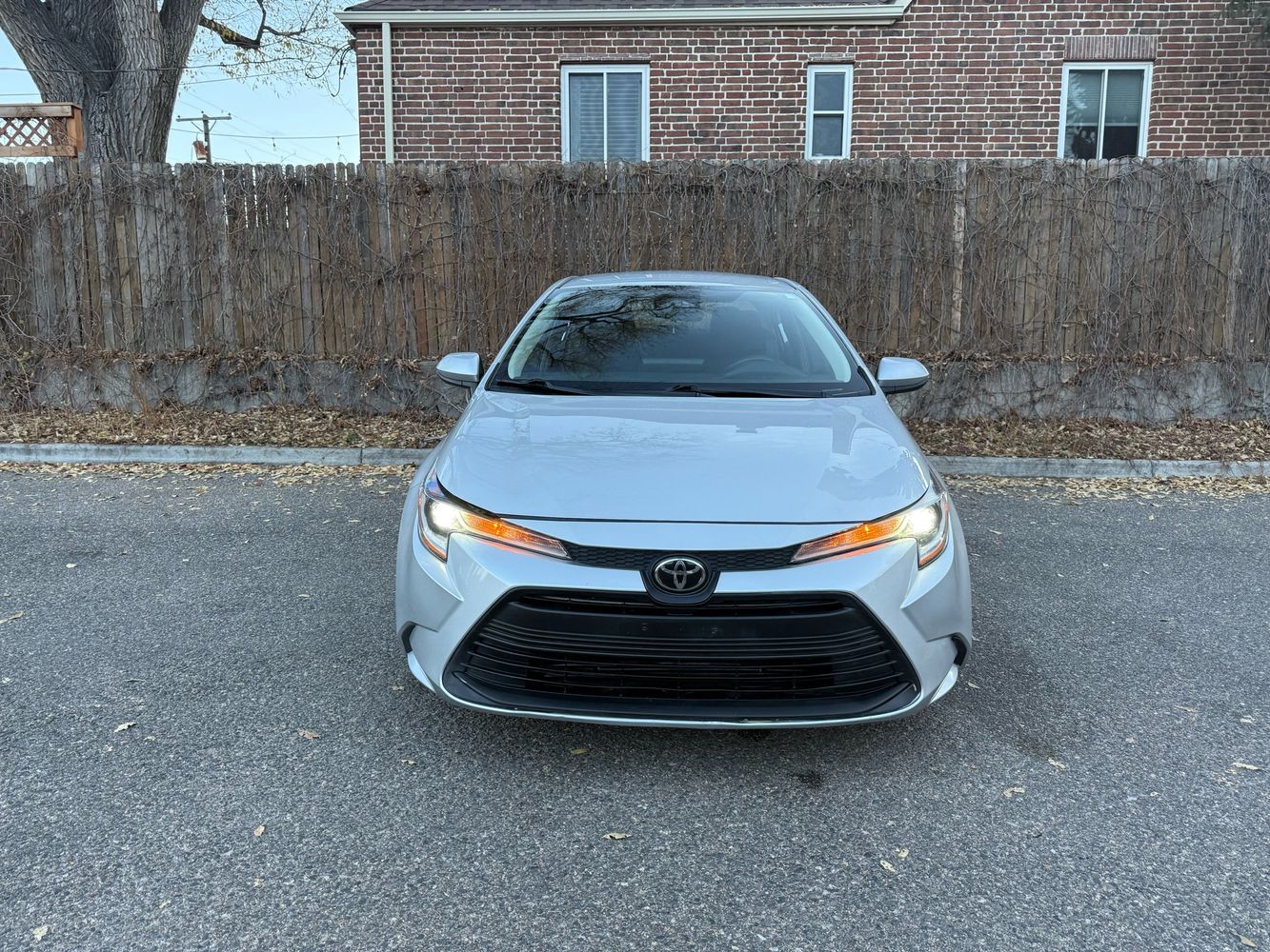 2023 Toyota Corolla LE photo 3