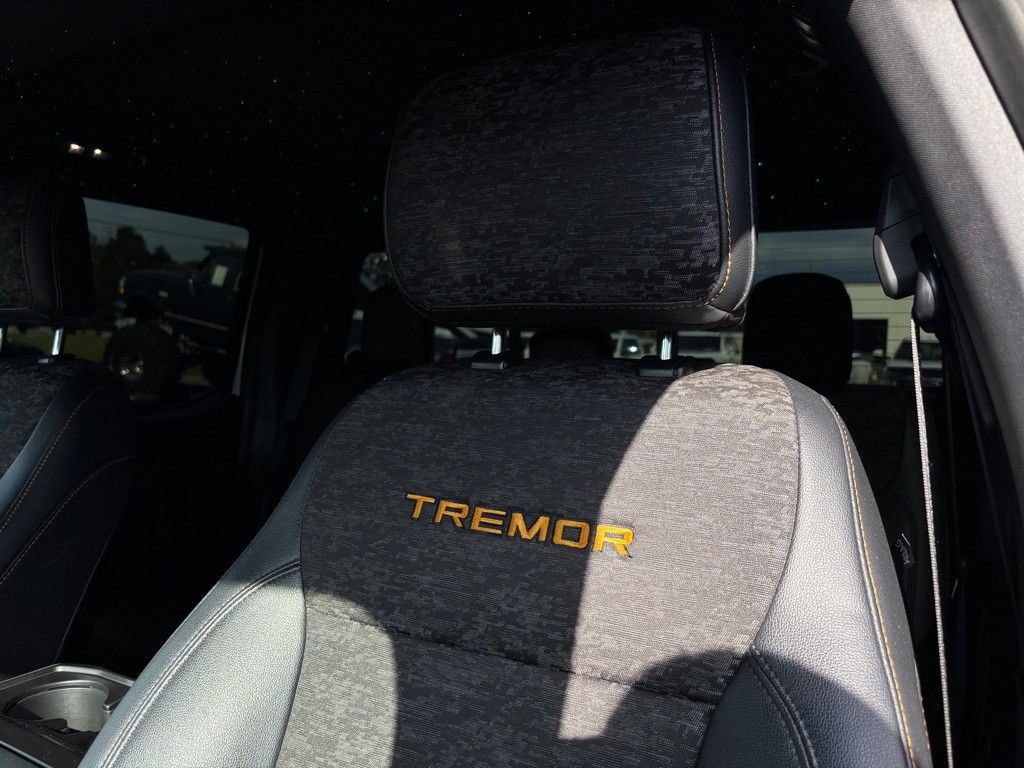 2022 Ford F-150 Tremor photo 18