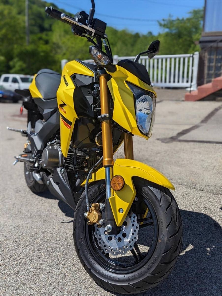 2022 Kawasaki Z125 PRO 15