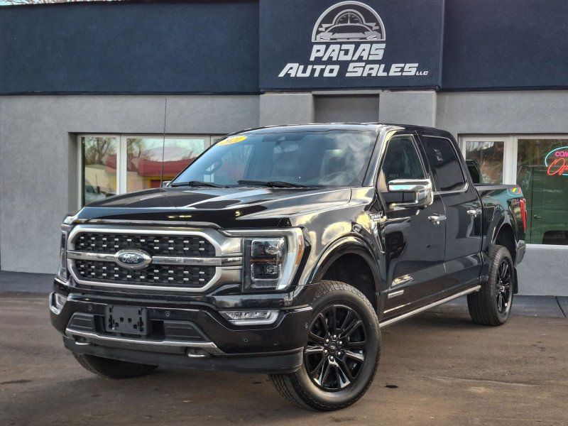 2021 Ford F-150 Platinum's photo