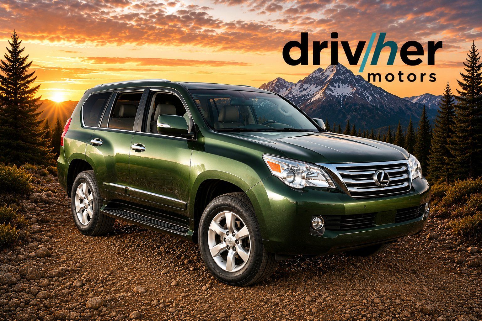 2010 Lexus GX 460 460 Premium's photo