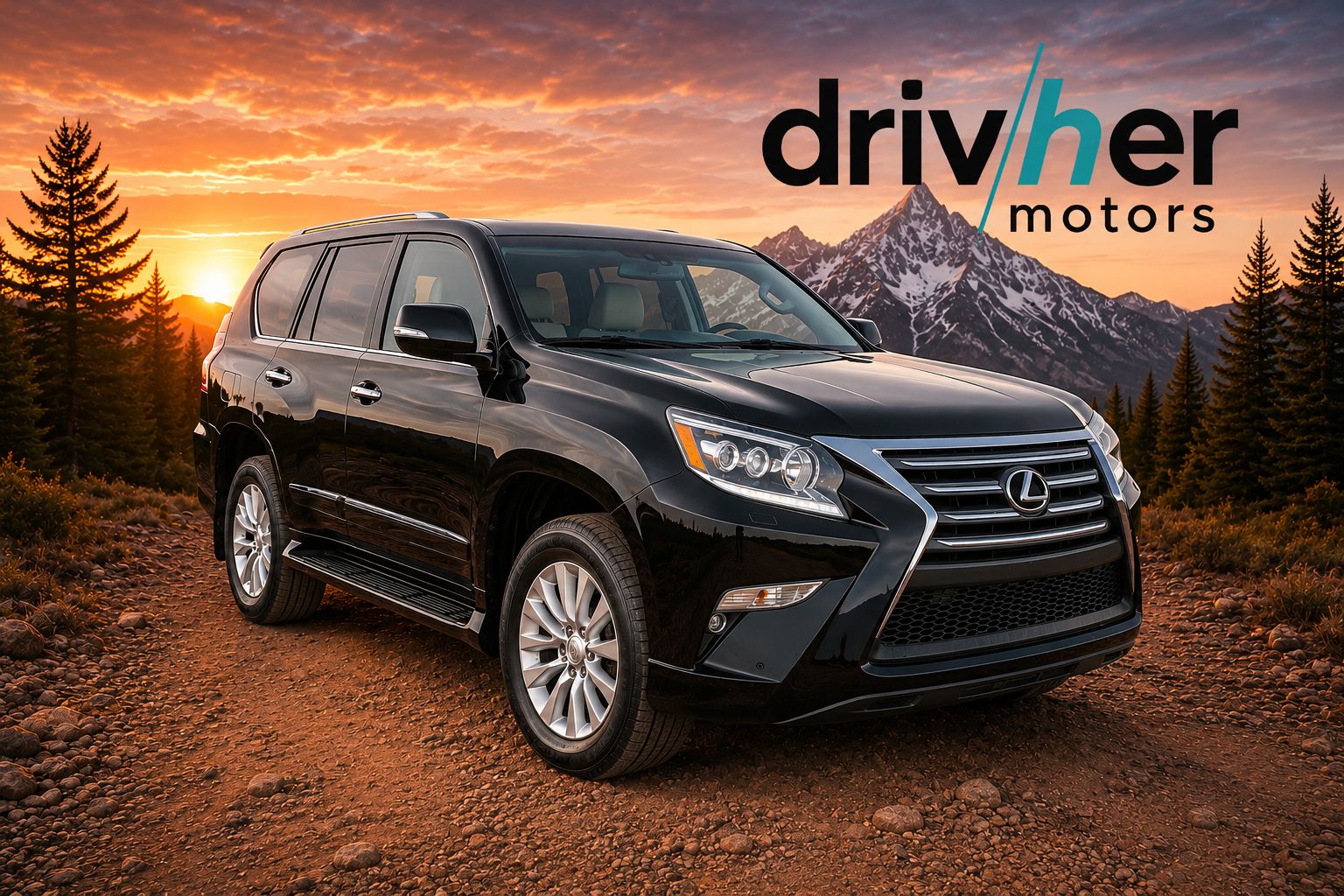 2014 Lexus GX 460 460's photo