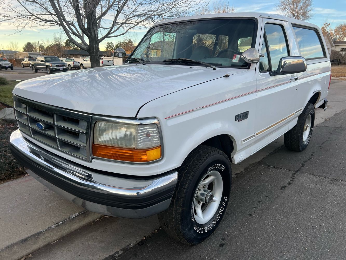 Ford Bronco's photo