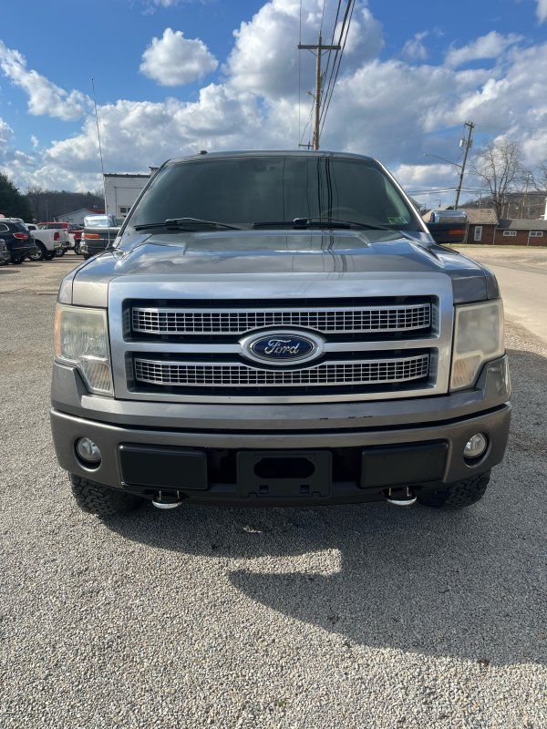 2009 Ford F-150 Platinum