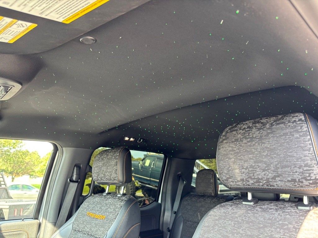 2022 Ford F-150 Tremor photo 19