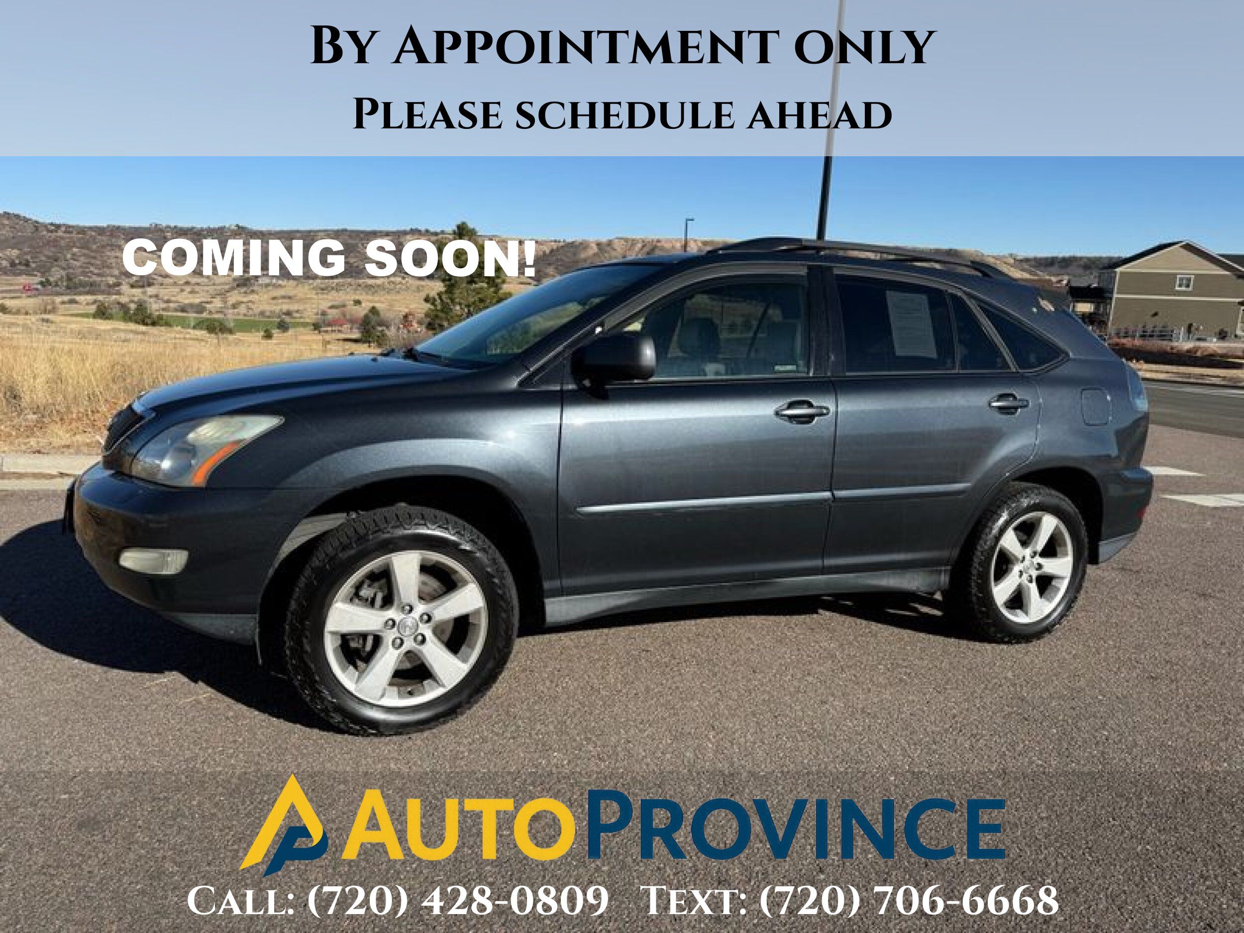2005 Lexus RX 330