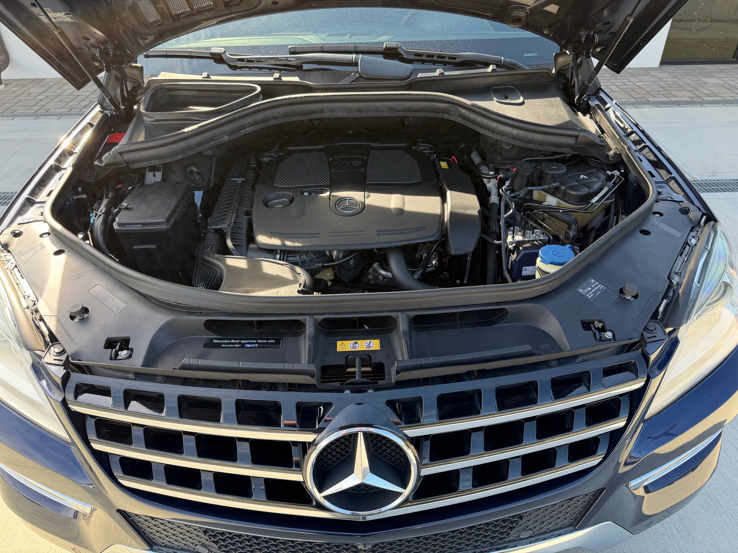 View 31