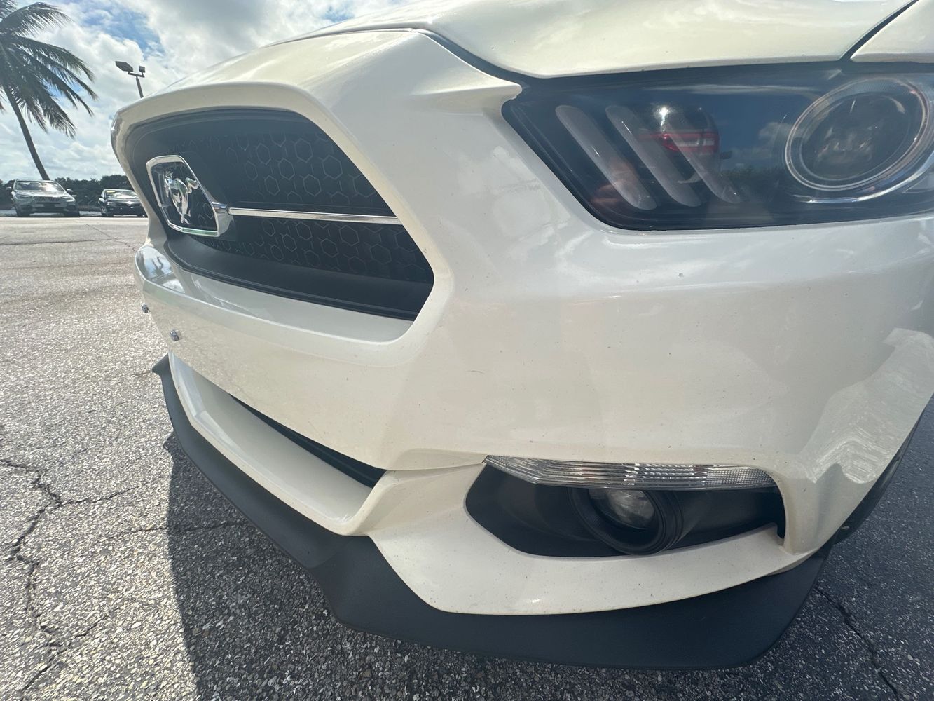 2015 Ford Mustang GT 50th Anniversary Edition photo 5