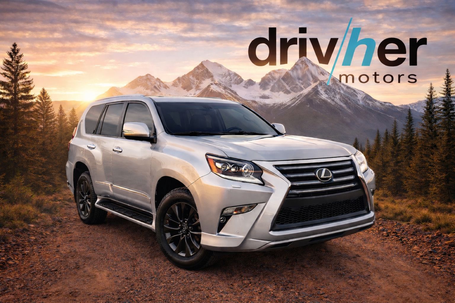 2019 Lexus GX PREMIUM's photo