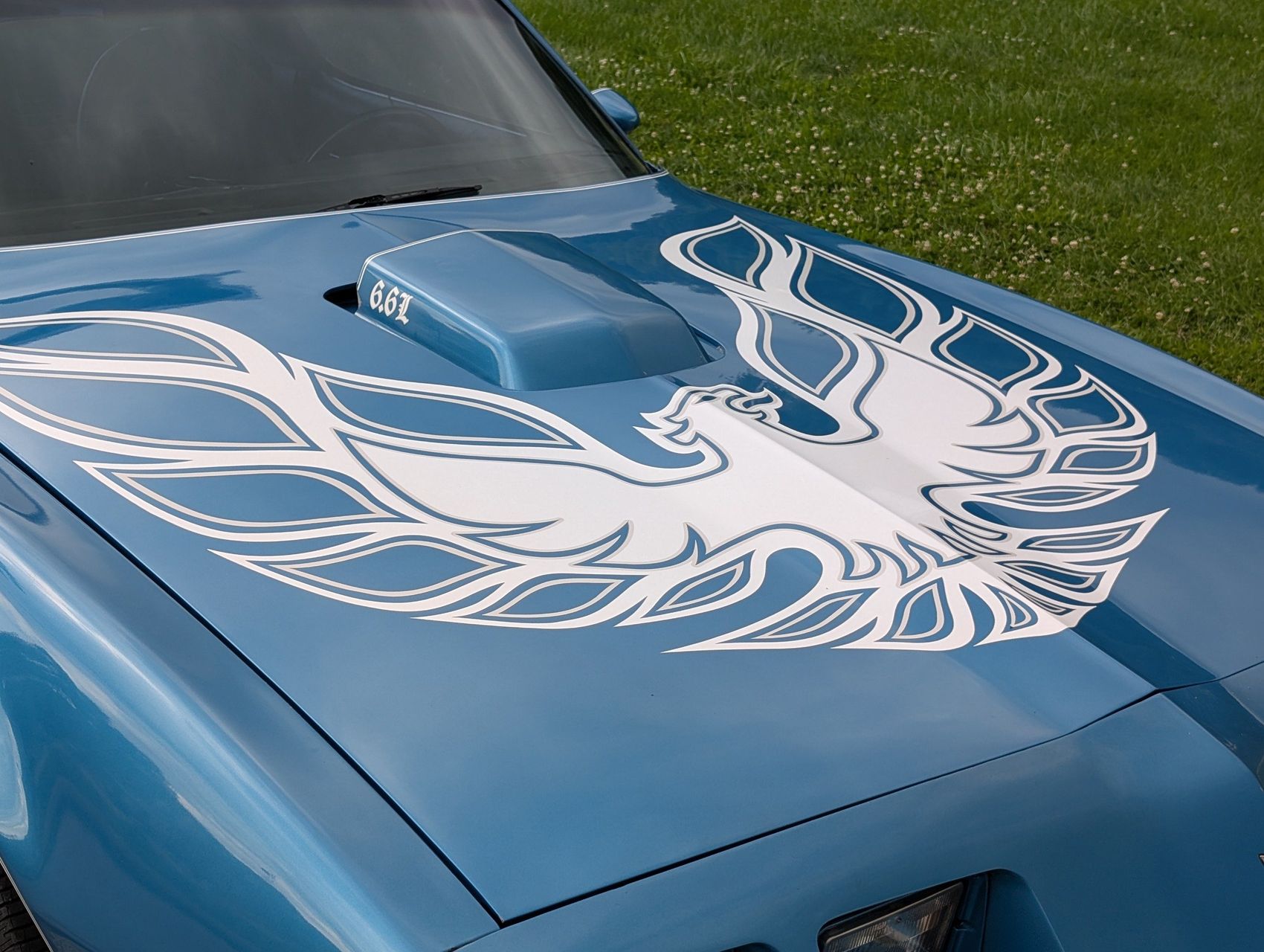 1980 Pontiac Firebird 17