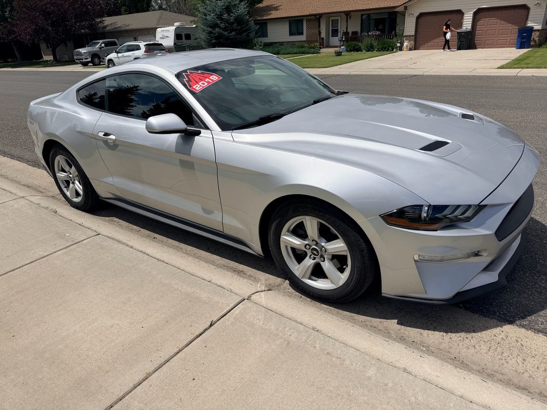 2019 Ford Mustang EcoBoost Coupe RWD