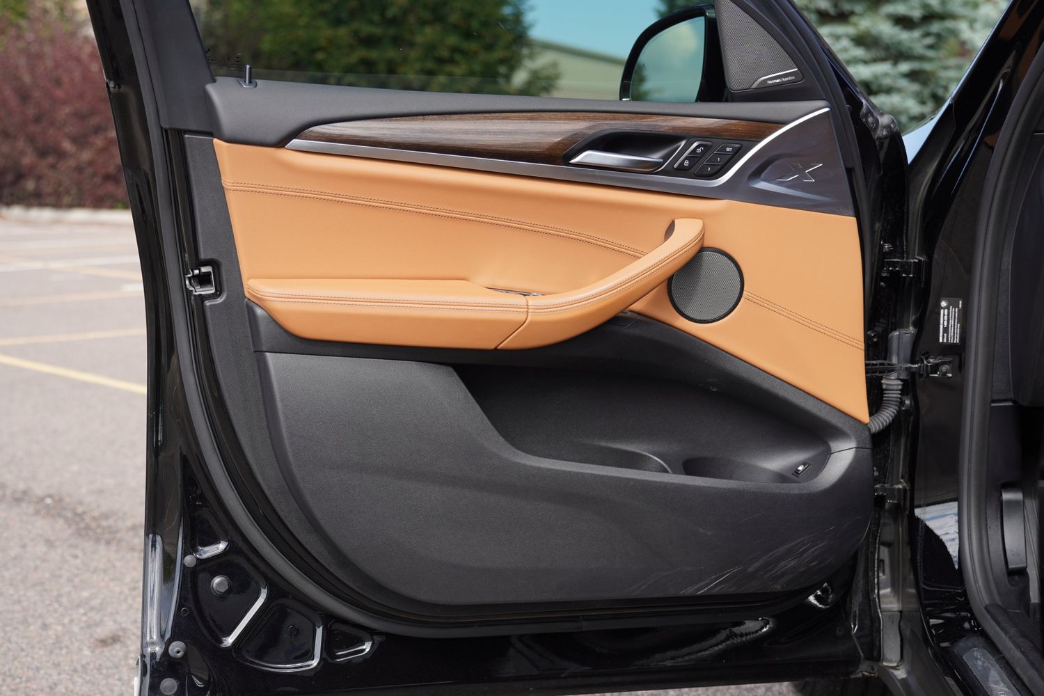 2021 Bmw X3 xDrive30e photo 9