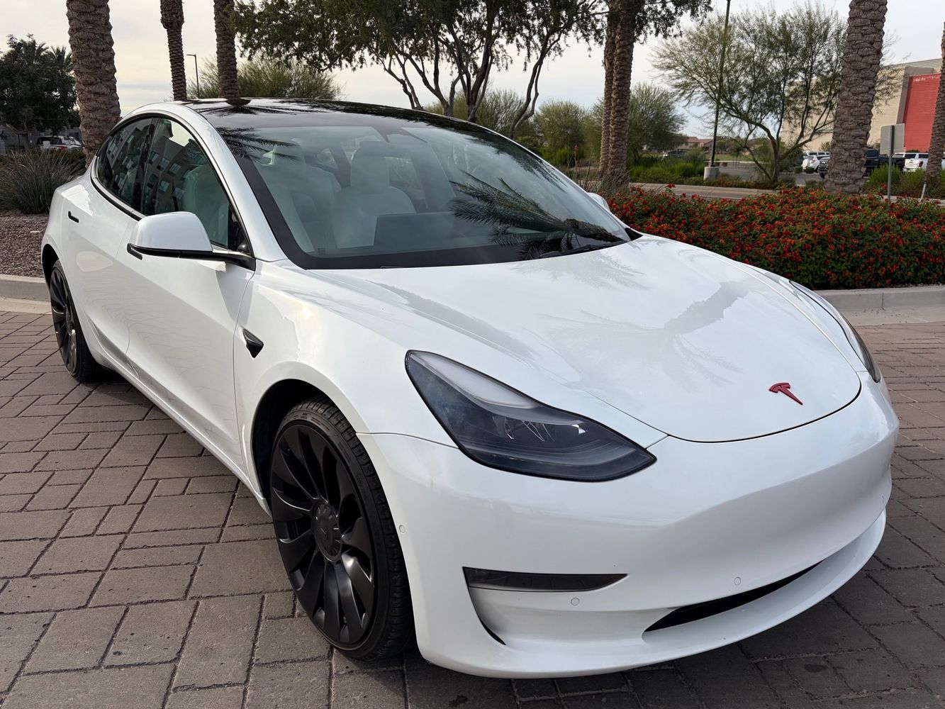 2022 Tesla Model 3 Performance's photo