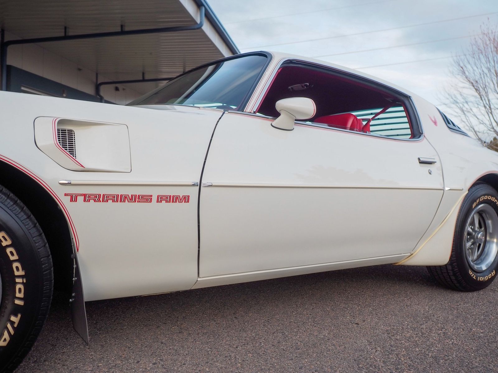 1981 Pontiac Firebird 28