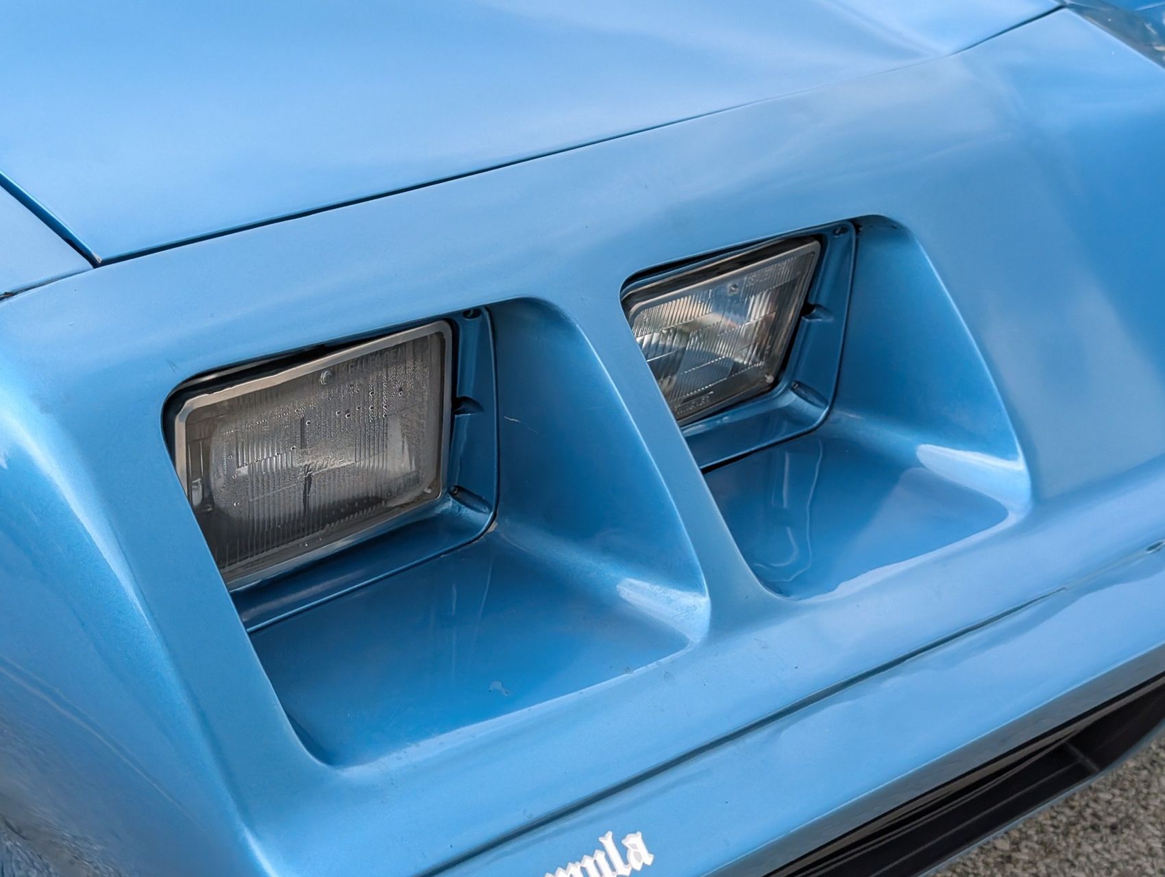 1980 Pontiac Firebird 20