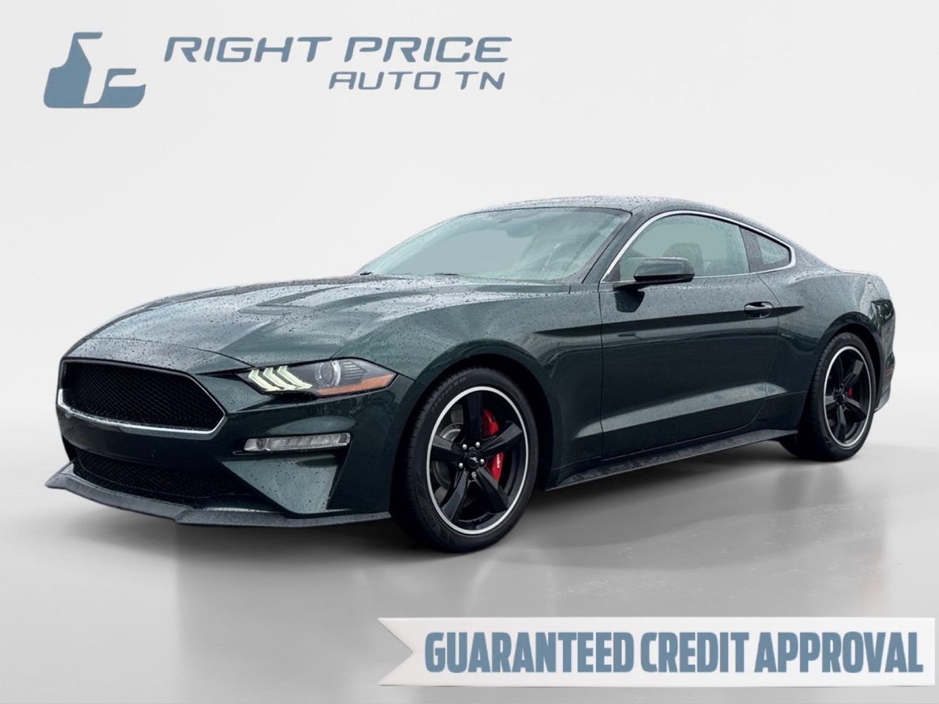 2019 Ford Mustang Bullitt's photo