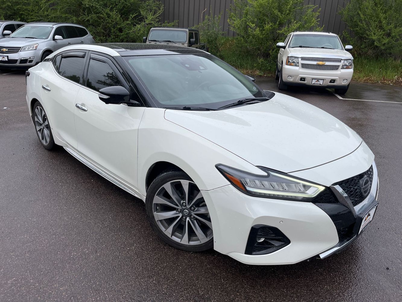 2020 Nissan Maxima Platinum's photo