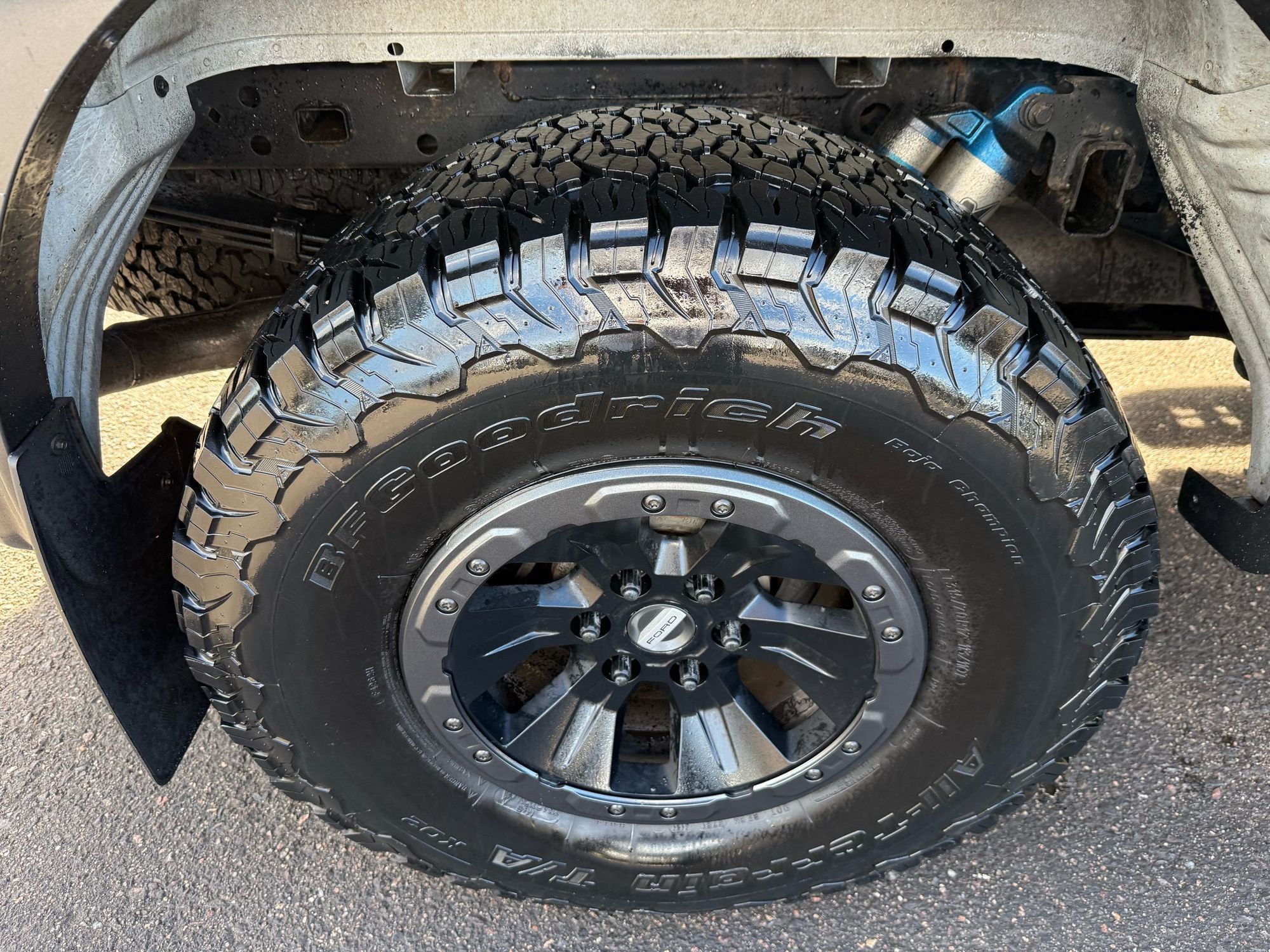 2017 Ford F-150 Raptor photo 12