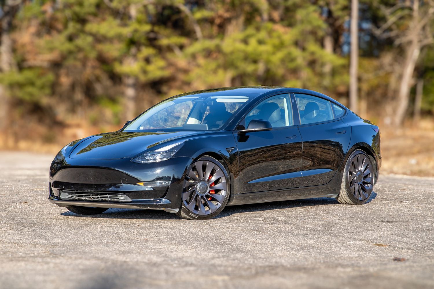 2021 Tesla Model 3 Base's photo