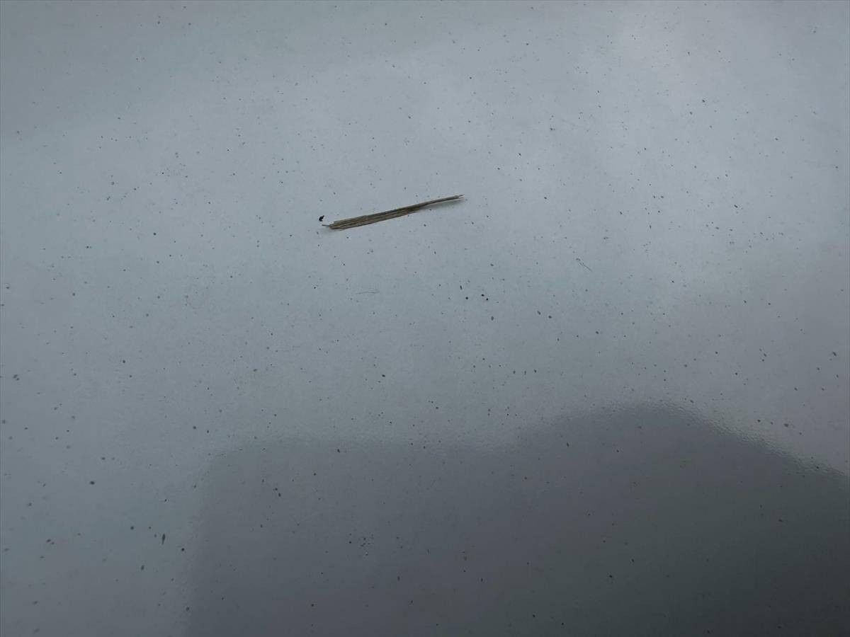 2019 International DuraStar 4300 99