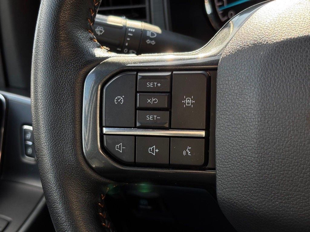 2022 Ford F-150 Tremor photo 35