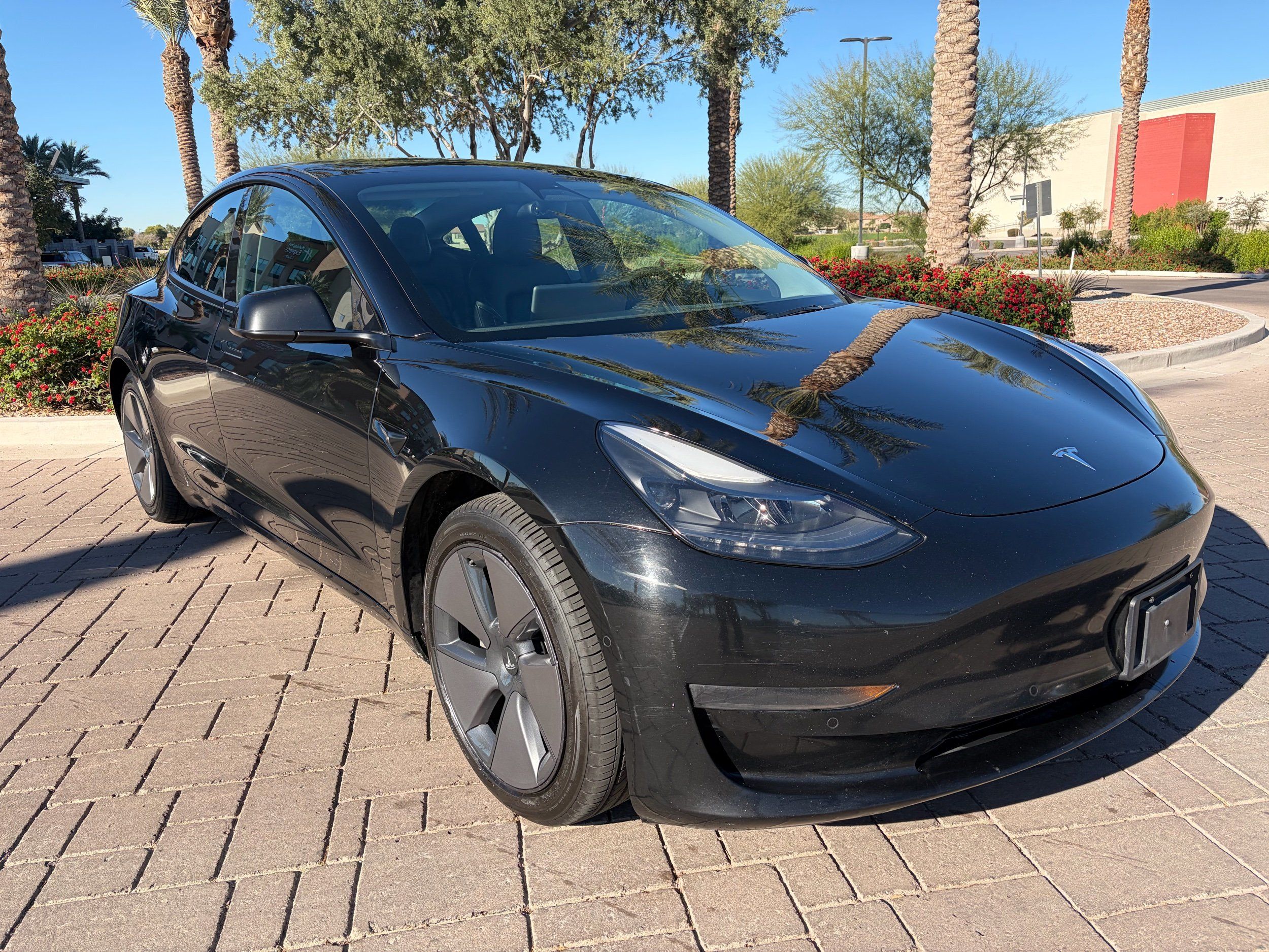 2021 Tesla Model 3 Rear-Wheel Drive's photo