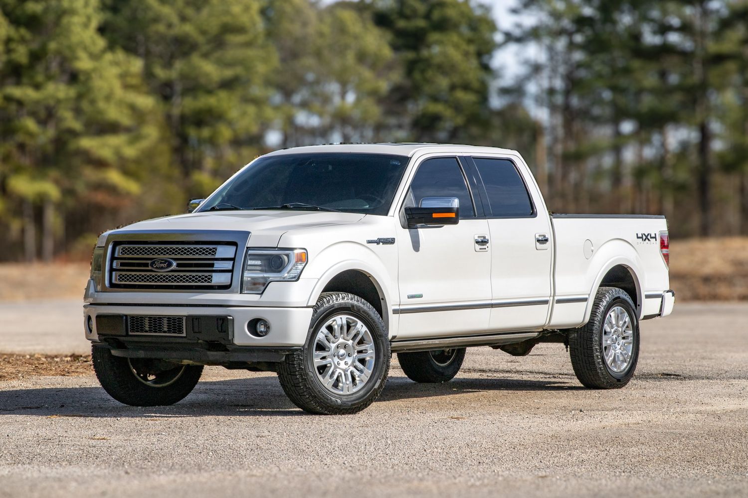 2014 Ford F-150 Platinum