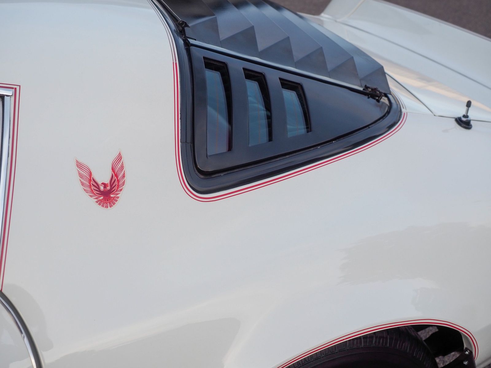 1981 Pontiac Firebird 30