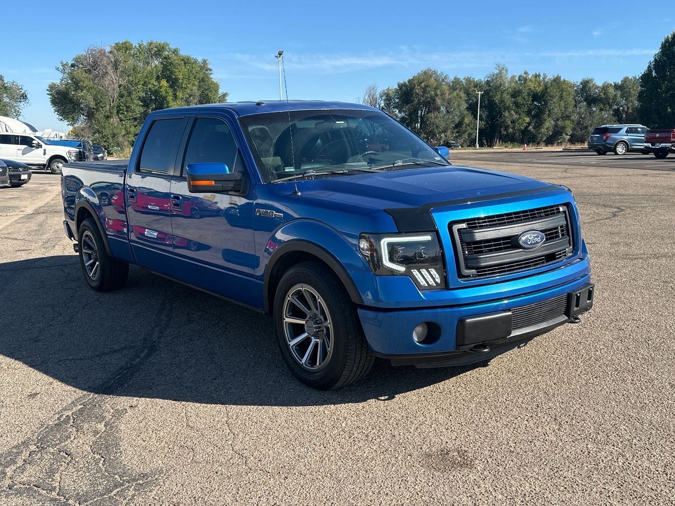 2013 Ford F-150 FX4 photo 3