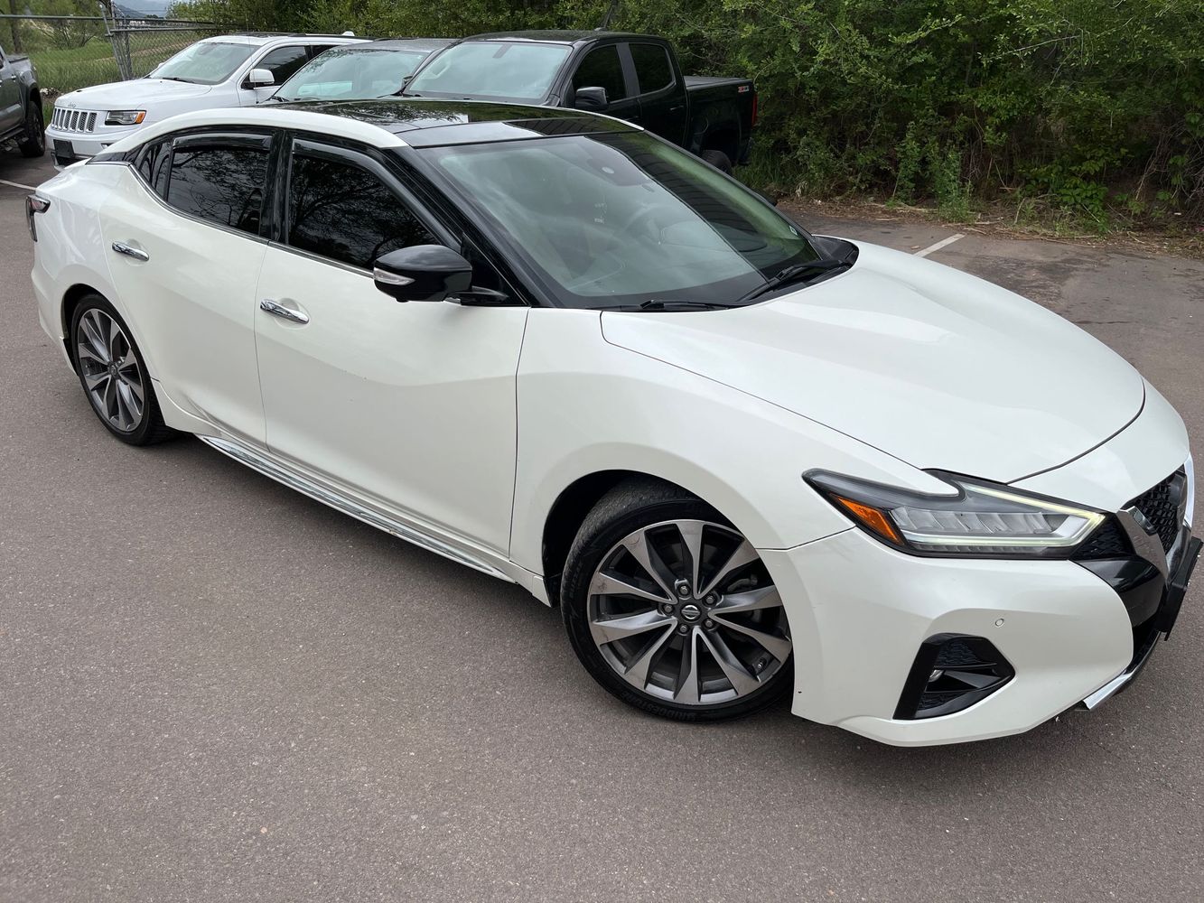 2020 Nissan Maxima Platinum's photo
